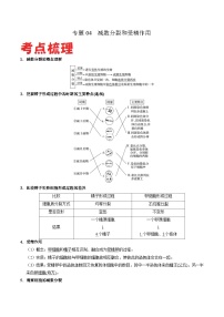 专题04 减数分裂和受精作用——高一生物下学期期末专题复习学案（人教版2019必修2）