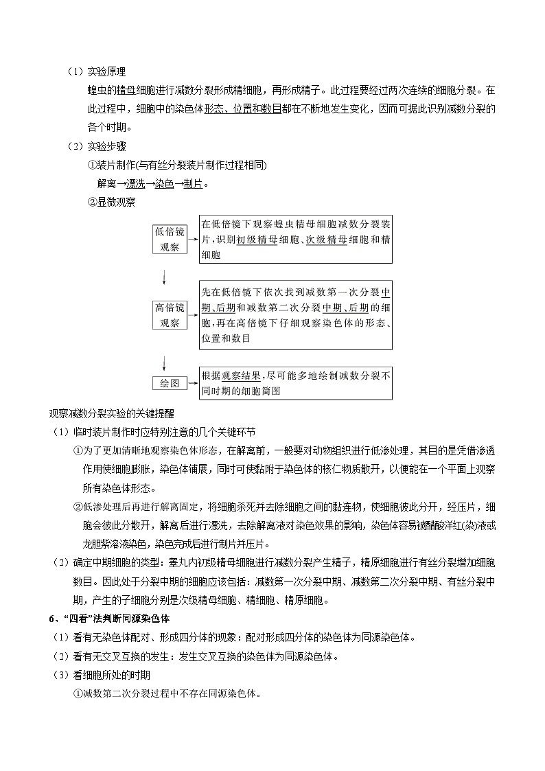 专题04 减数分裂和受精作用——高一生物下学期期末专题复习学案（人教版2019必修2）（原卷版）第2页