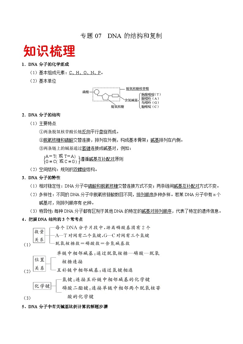 专题07 DNA的结构和复制——高一生物下学期期末专题复习学案（人教版2019必修2）01