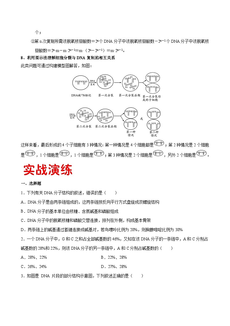 专题07 DNA的结构和复制——高一生物下学期期末专题复习学案（人教版2019必修2）03