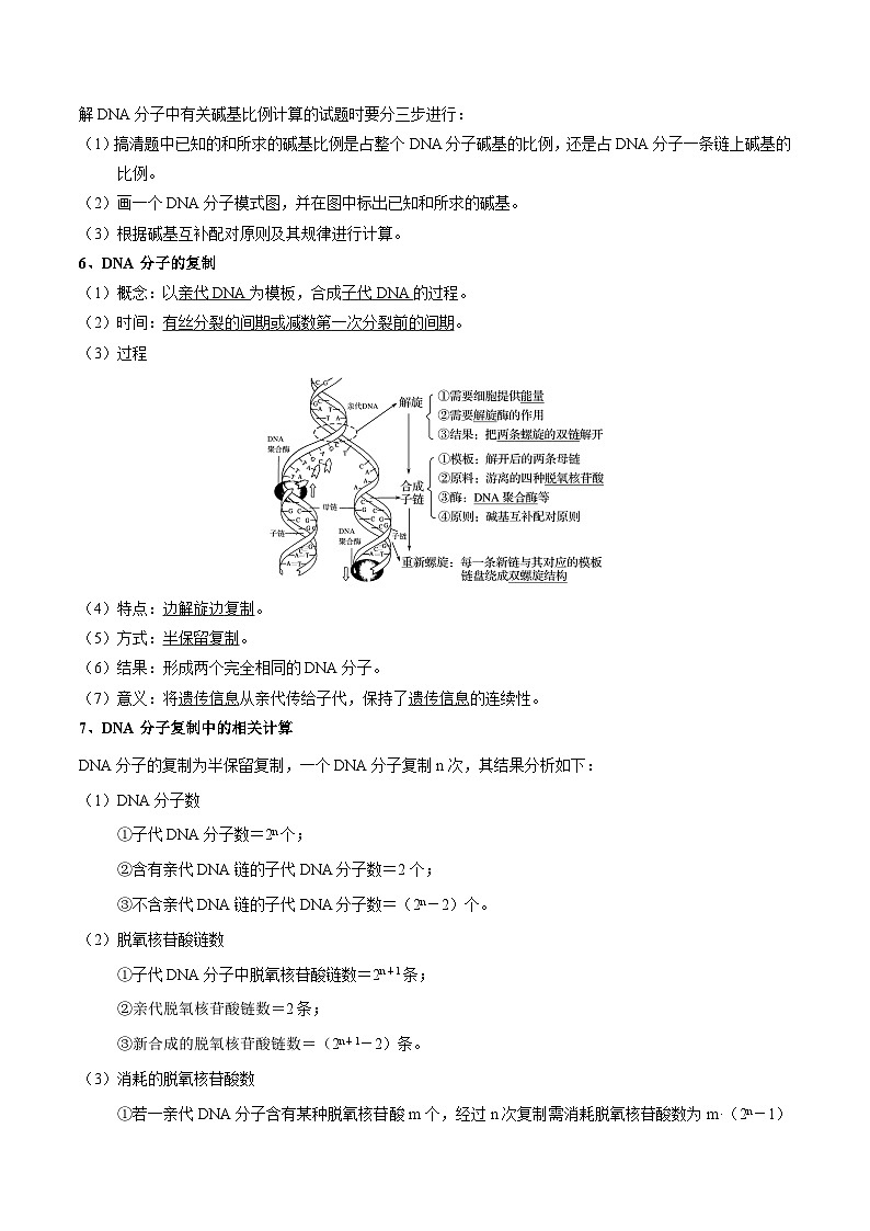 专题07 DNA的结构和复制——高一生物下学期期末专题复习学案（人教版2019必修2）02
