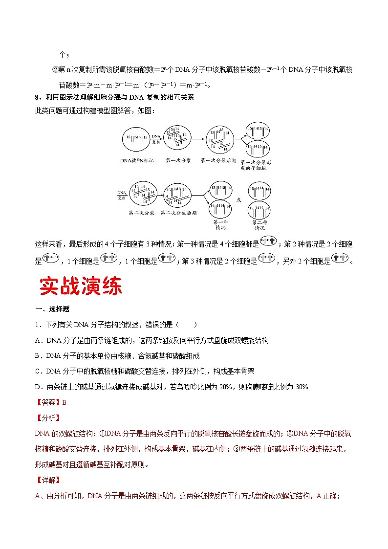 专题07 DNA的结构和复制——高一生物下学期期末专题复习学案（人教版2019必修2）03