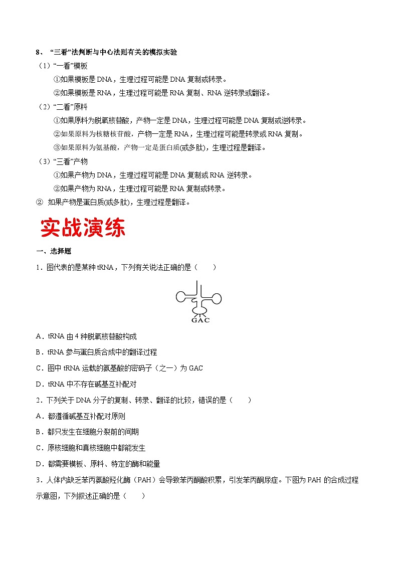 专题08 基因的表达-2020-2021学年高一生物下学期期末满分冲刺攻略（人教版2019必修2）（原卷版）第3页