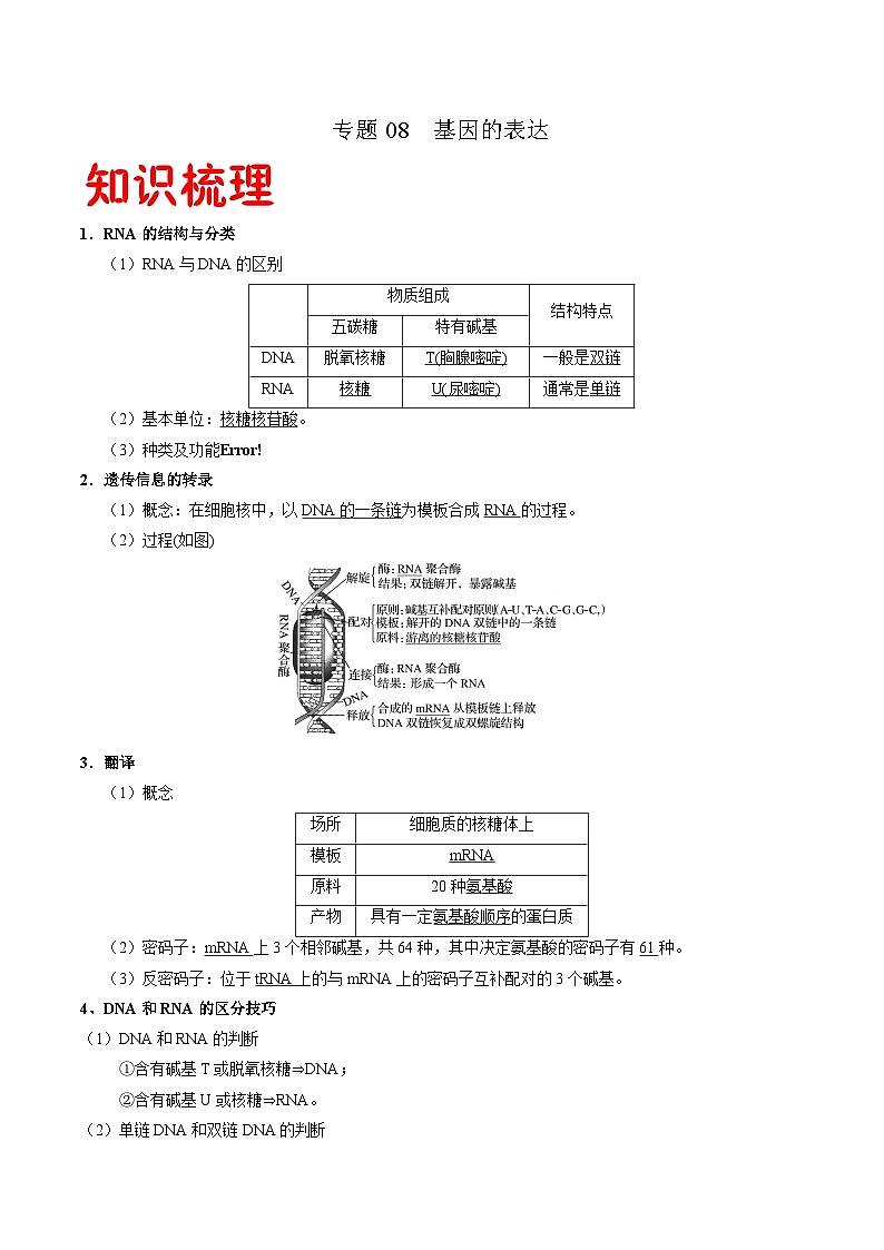 专题08 基因的表达-2020-2021学年高一生物下学期期末满分冲刺攻略（人教版2019必修2）（解析版）第1页