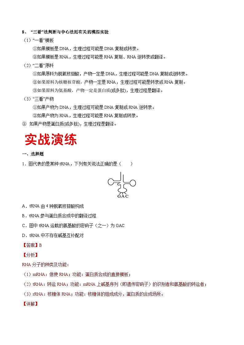 专题08 基因的表达-2020-2021学年高一生物下学期期末满分冲刺攻略（人教版2019必修2）（解析版）第3页