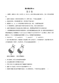 卷01——高一生物下学期期末模拟测试卷（苏教版2019必修2）