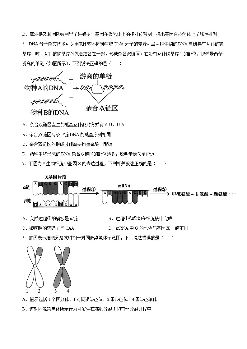 卷02——2021-2022学年高一生物下学期期末模拟测试卷（苏教版2019必修2）（原卷版）第2页