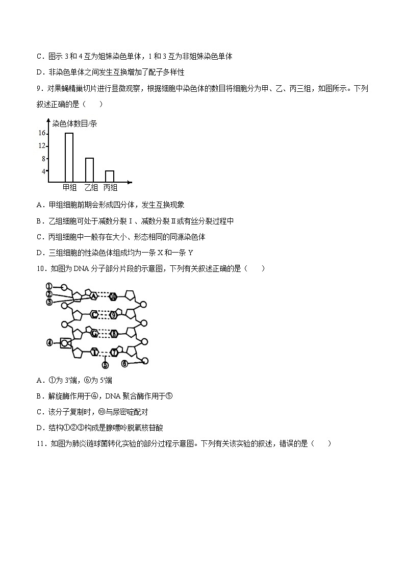 卷02——2021-2022学年高一生物下学期期末模拟测试卷（苏教版2019必修2）（原卷版）第3页