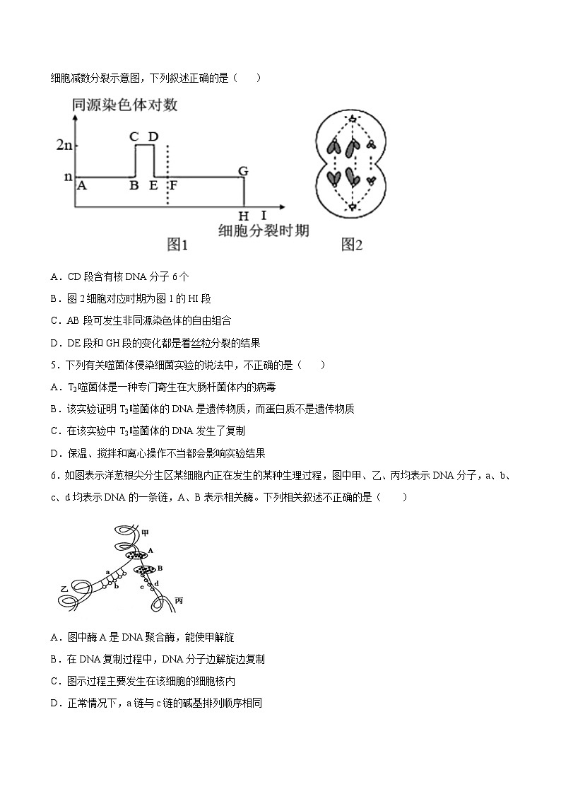 卷03——2021-2022学年高一生物下学期期末模拟测试卷（苏教版2019必修2）（原卷版）第2页