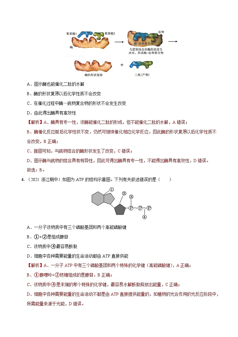 专题03  酶和ATP——高一生物下学期期末考试好题汇编+期末模拟卷（2019浙科版）（解析版）第2页