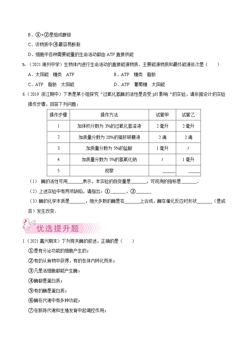 专题03  酶和ATP——高一生物下学期期末考试好题汇编+期末模拟卷（2019浙科版）（原卷版）第2页