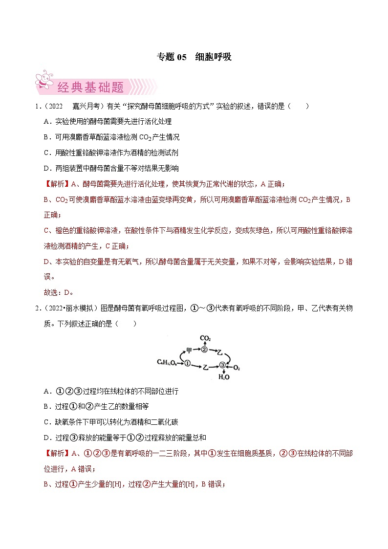 专题05 细胞呼吸——高一生物下学期期末考试好题汇编+期末模拟卷（2019浙科版）（解析版）第1页