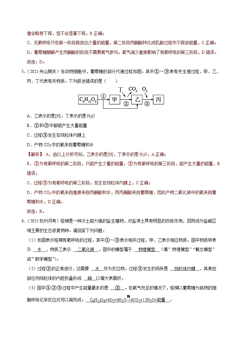 专题05 细胞呼吸——高一生物下学期期末考试好题汇编+期末模拟卷（2019浙科版）（解析版）第3页