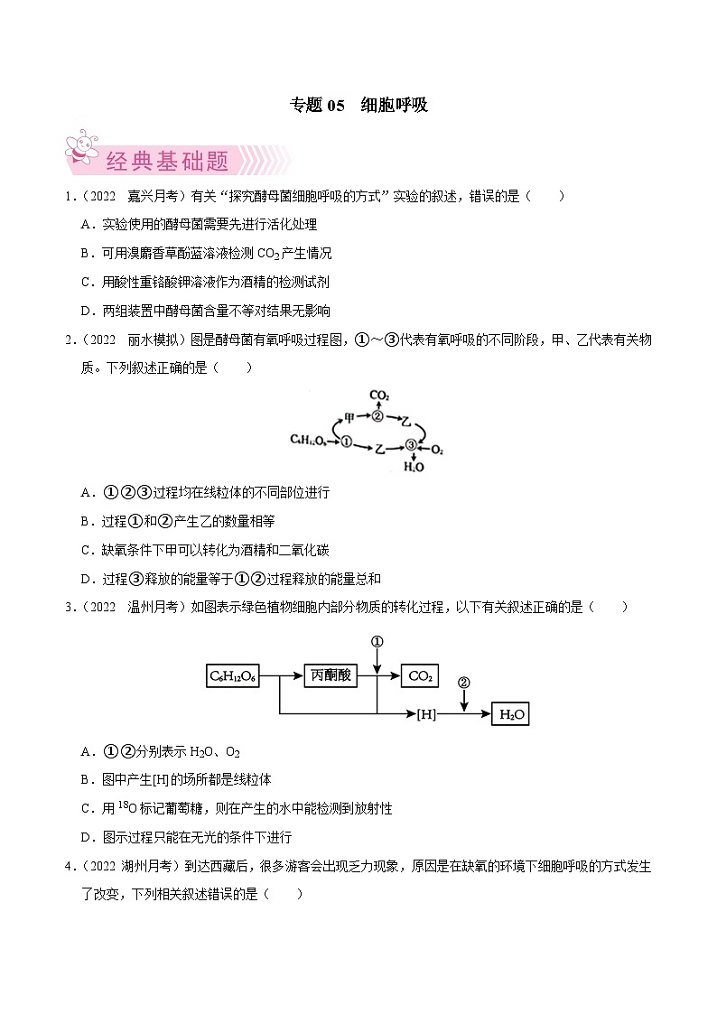 专题05 细胞呼吸——高一生物下学期期末考试好题汇编+期末模拟卷（2019浙科版）（原卷版）第1页