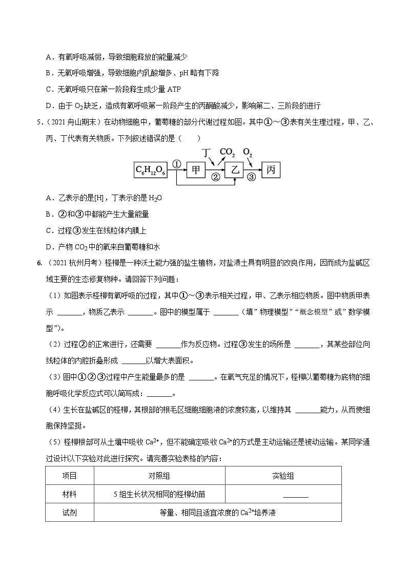 专题05 细胞呼吸——高一生物下学期期末考试好题汇编+期末模拟卷（2019浙科版）（原卷版）第2页