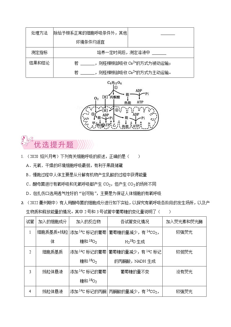 专题05 细胞呼吸——高一生物下学期期末考试好题汇编+期末模拟卷（2019浙科版）（原卷版）第3页