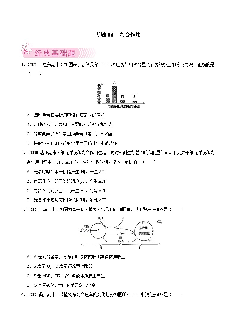 专题06  光合作用——高一生物下学期期末考试好题汇编+期末模拟卷（2019浙科版）（原卷版）第1页