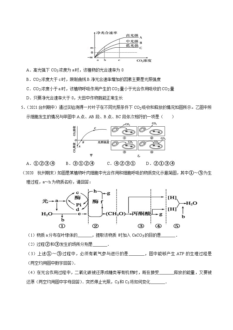 专题06  光合作用——高一生物下学期期末考试好题汇编+期末模拟卷（2019浙科版）（原卷版）第2页