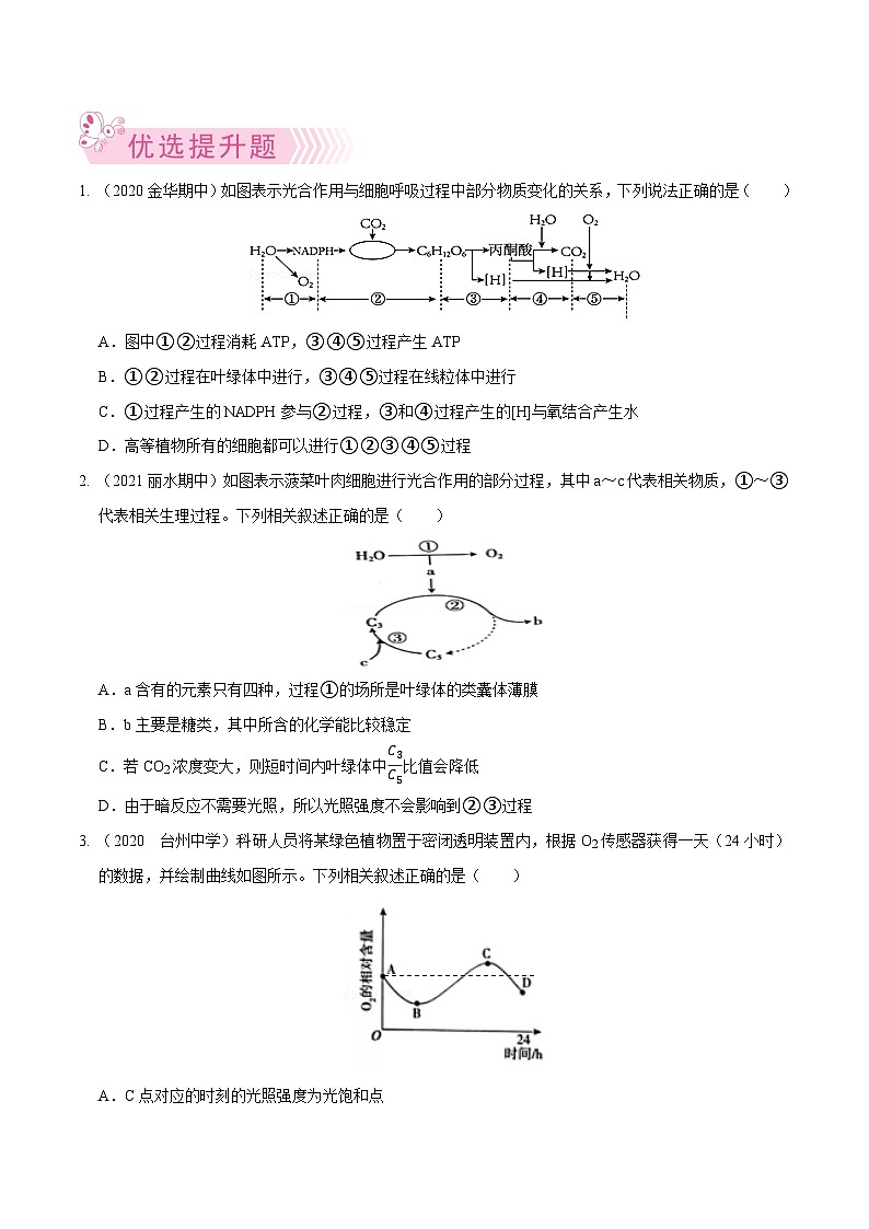 专题06  光合作用——高一生物下学期期末考试好题汇编+期末模拟卷（2019浙科版）（原卷版）第3页