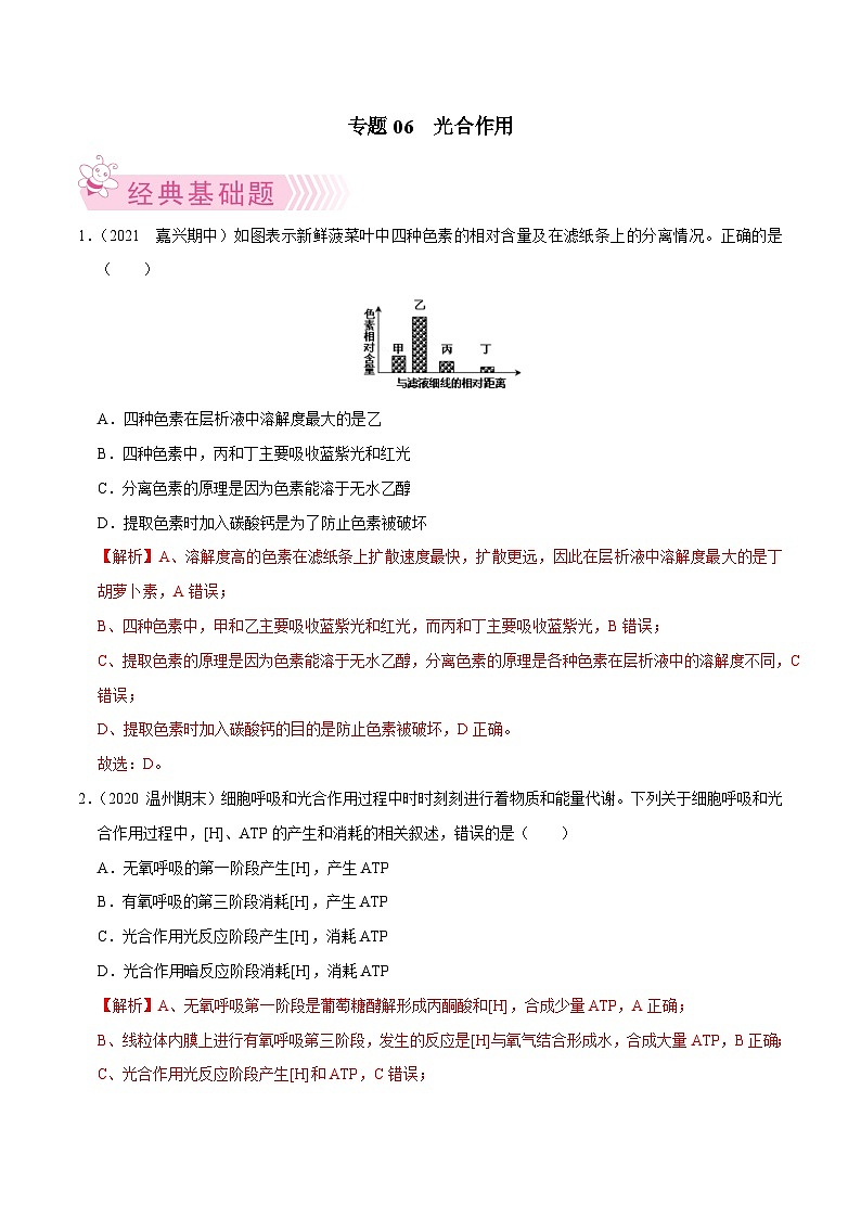 专题06  光合作用——高一生物下学期期末考试好题汇编+期末模拟卷（2019浙科版）（解析版）第1页