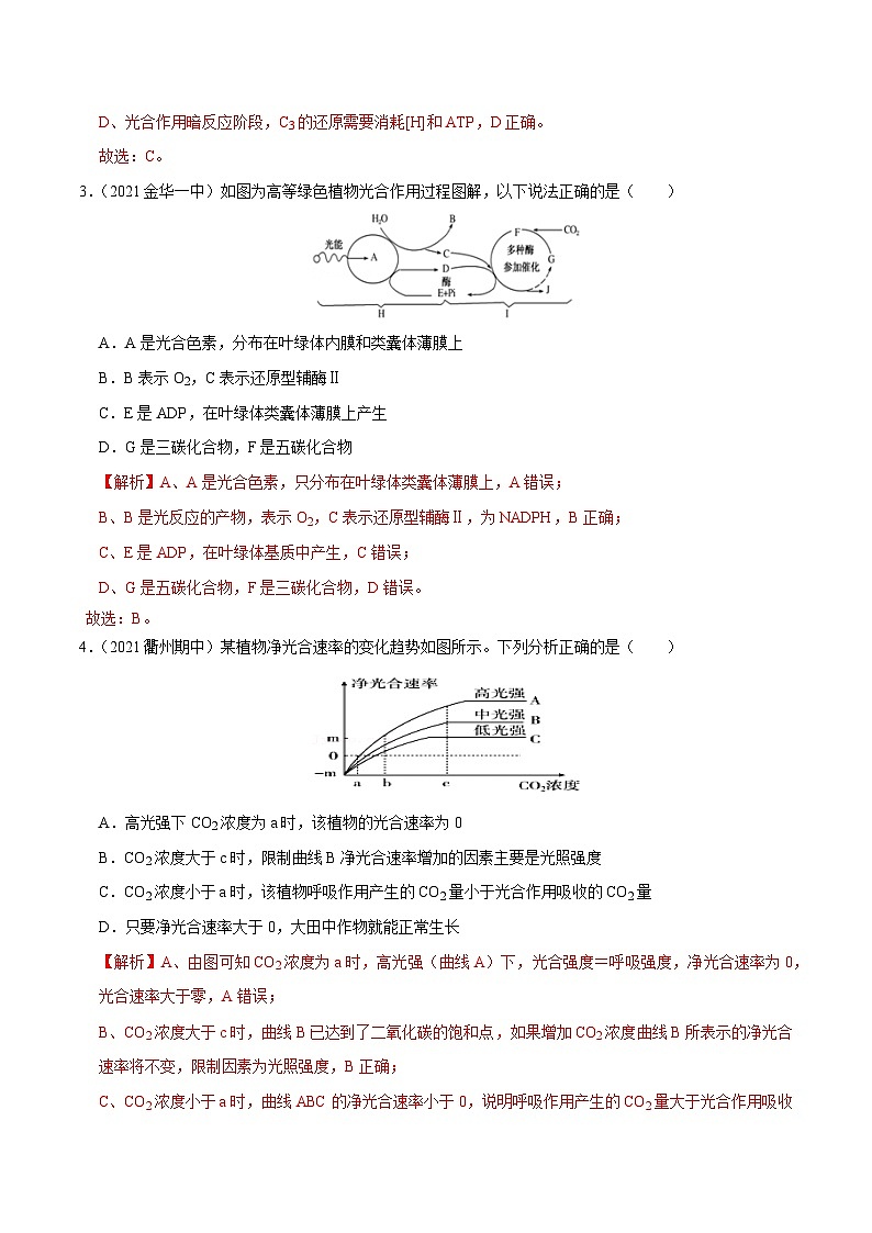 专题06  光合作用——高一生物下学期期末考试好题汇编+期末模拟卷（2019浙科版）（解析版）第2页