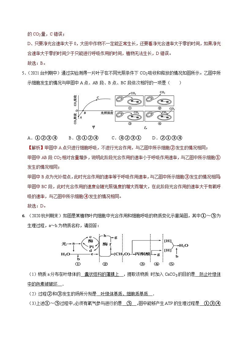 专题06  光合作用——高一生物下学期期末考试好题汇编+期末模拟卷（2019浙科版）（解析版）第3页