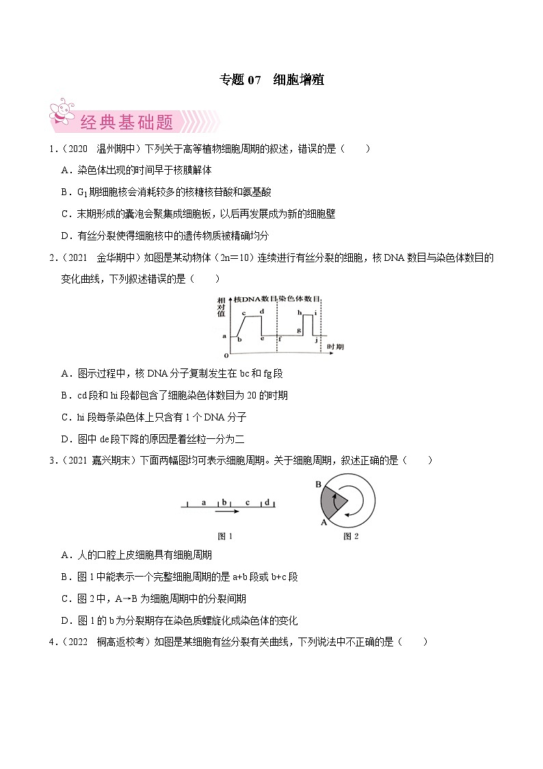 专题07  细胞的增殖——高一生物下学期期末考试好题汇编+期末模拟卷（2019浙科版）（原卷版）第1页