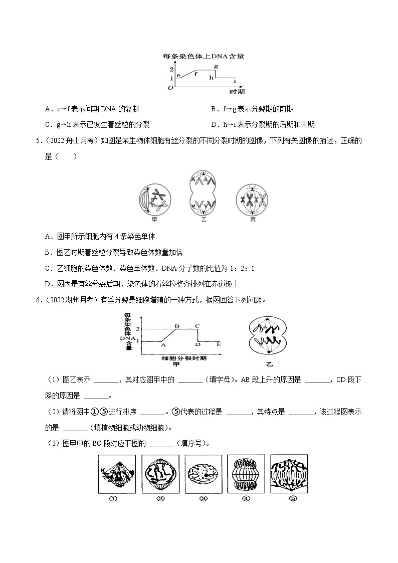 专题07  细胞的增殖——高一生物下学期期末考试好题汇编+期末模拟卷（2019浙科版）（原卷版）第2页