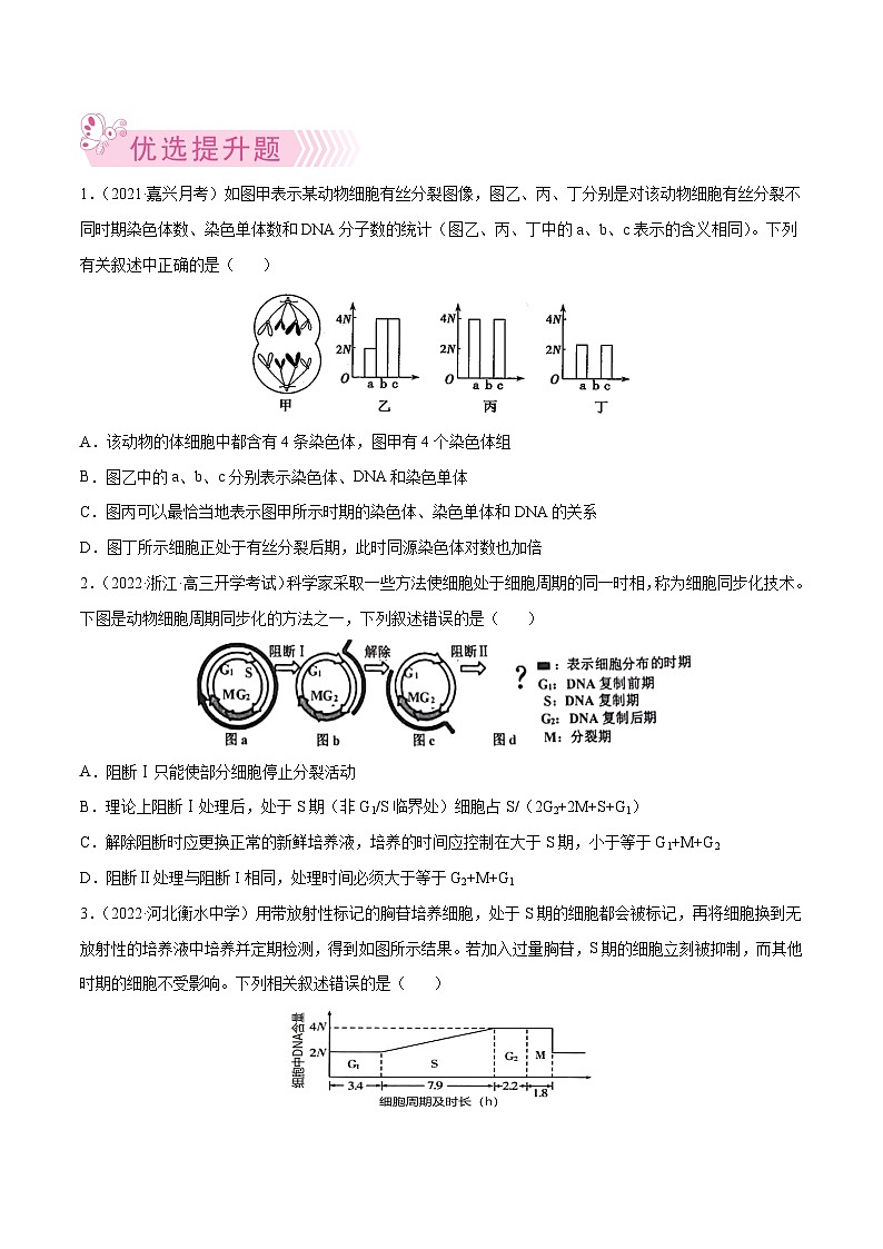 专题07  细胞的增殖——高一生物下学期期末考试好题汇编+期末模拟卷（2019浙科版）（原卷版）第3页