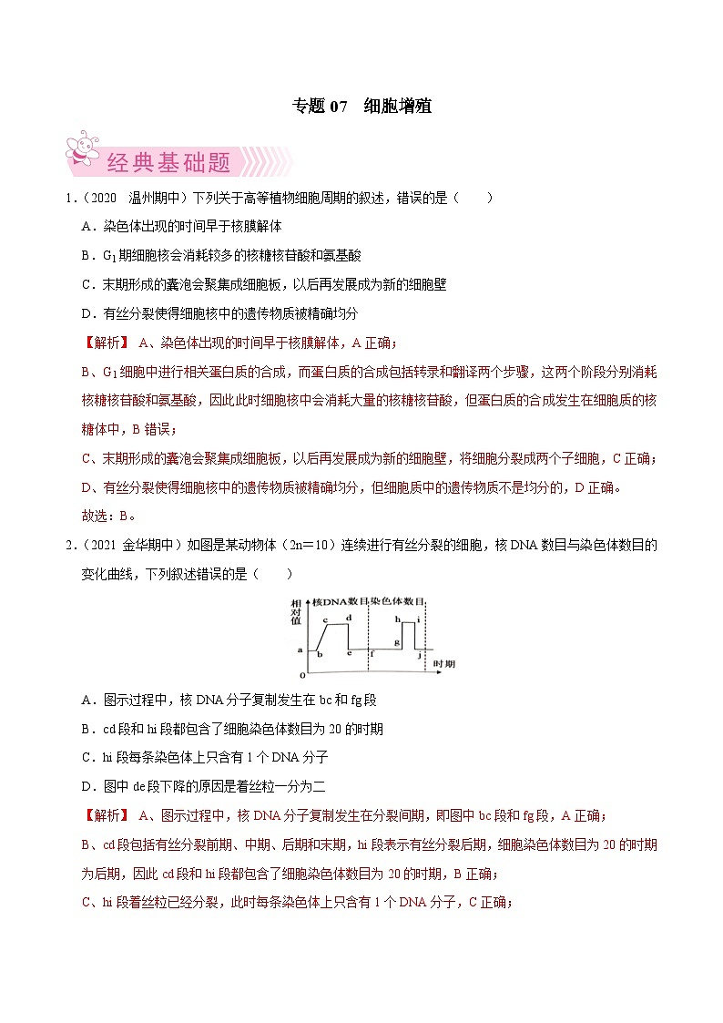 专题07  细胞的增殖——高一生物下学期期末考试好题汇编+期末模拟卷（2019浙科版）（解析版）第1页