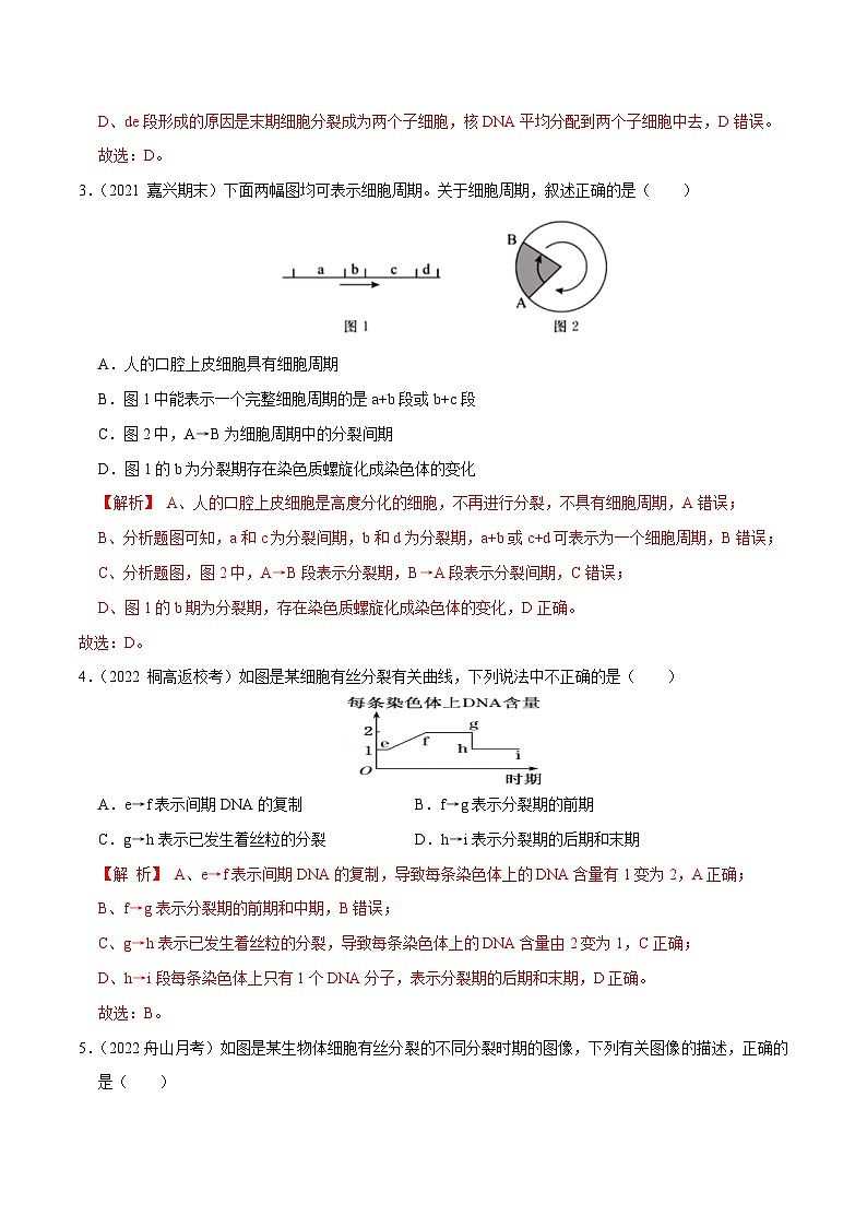 专题07  细胞的增殖——高一生物下学期期末考试好题汇编+期末模拟卷（2019浙科版）（解析版）第2页