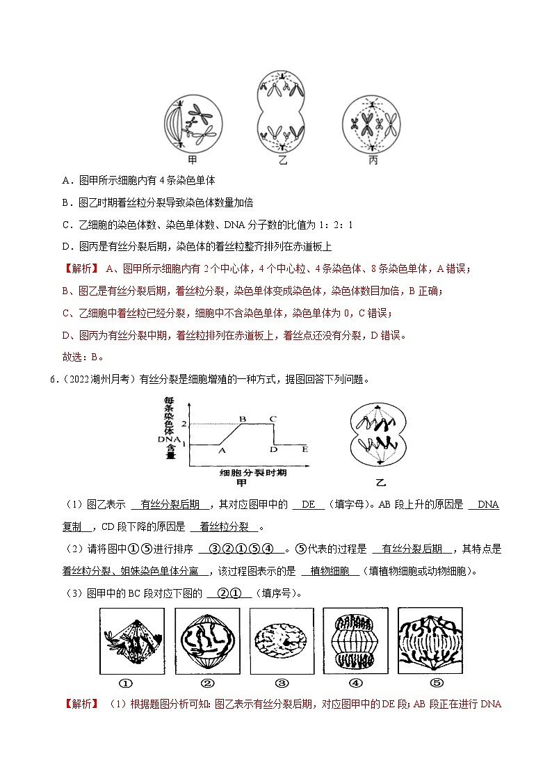专题07  细胞的增殖——高一生物下学期期末考试好题汇编+期末模拟卷（2019浙科版）（解析版）第3页