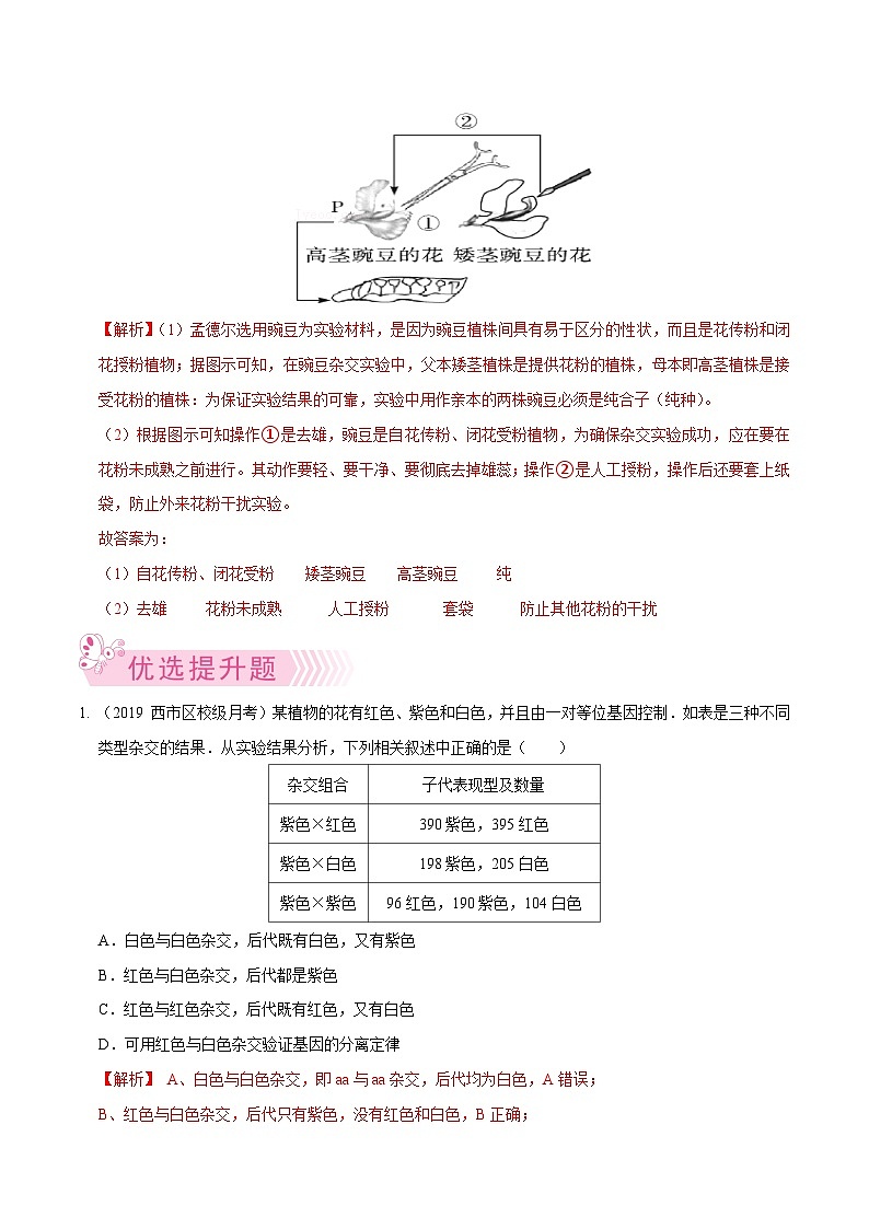 专题09  基因的分离定律——高一生物下学期期末考试好题汇编+期末模拟卷（2019浙科版）（解析版）第3页