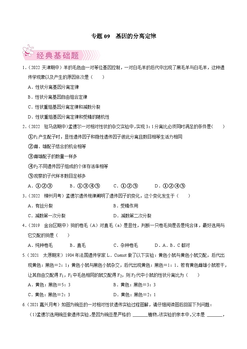 专题09  基因的分离定律——高一生物下学期期末考试好题汇编+期末模拟卷（2019浙科版）（原卷版）第1页