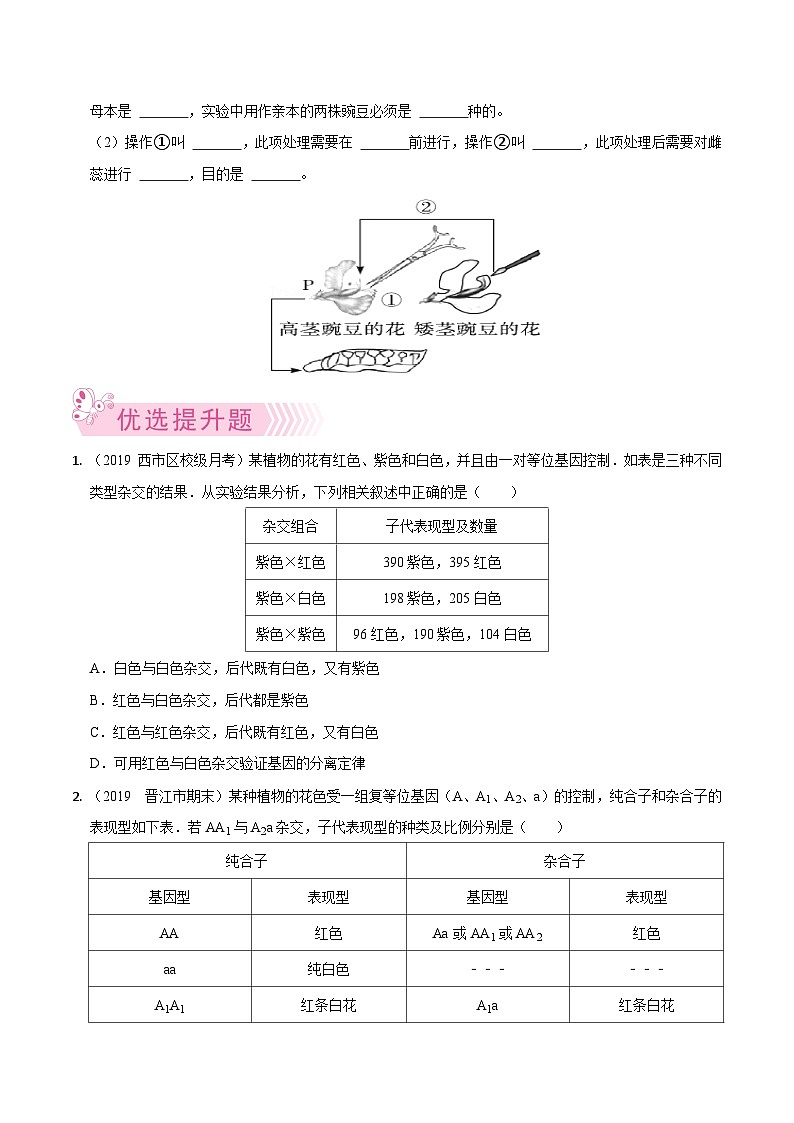 专题09  基因的分离定律——高一生物下学期期末考试好题汇编+期末模拟卷（2019浙科版）（原卷版）第2页