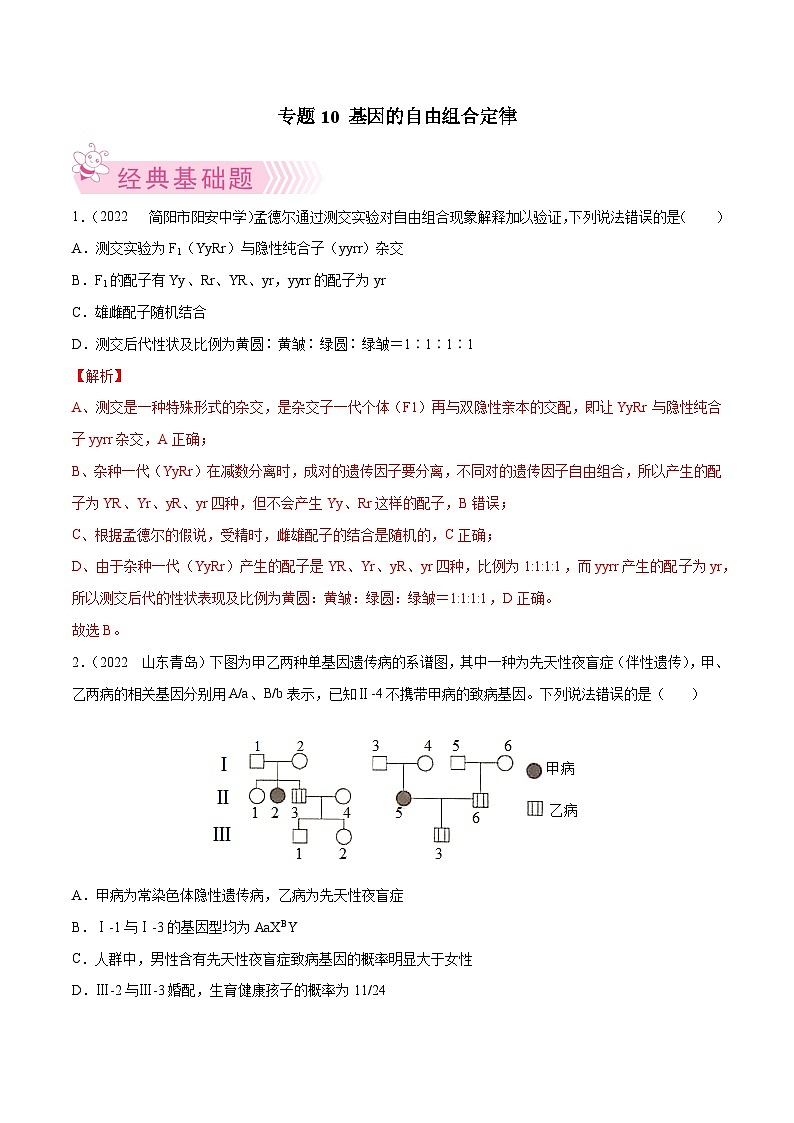 专题10  基因的自由组合定律——高一生物下学期期末考试好题汇编+期末模拟卷（2019浙科版）（解析版）第1页