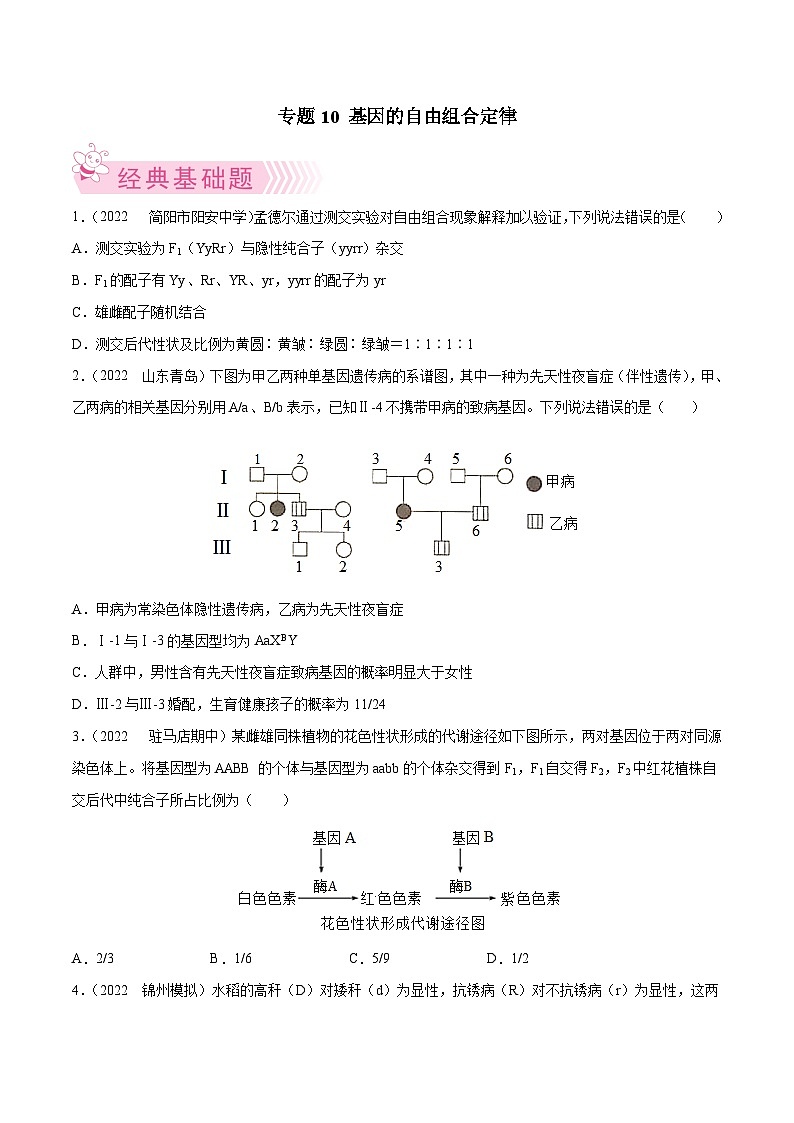 专题10 基因的自由组合定律——高一生物下学期期末考试好题汇编+期末模拟卷（2019浙科版）（原卷版）第1页