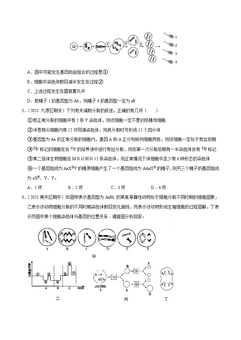 专题11  遗传的细胞基础——高一生物下学期期末考试专项训练学案+ 期末模拟卷（2019浙科版）02