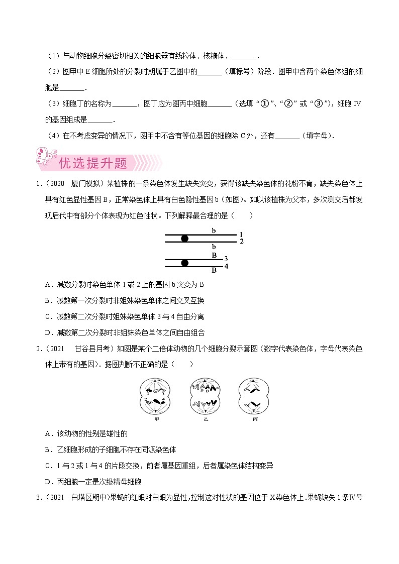 专题11  遗传的细胞基础——高一生物下学期期末考试专项训练学案+ 期末模拟卷（2019浙科版）03