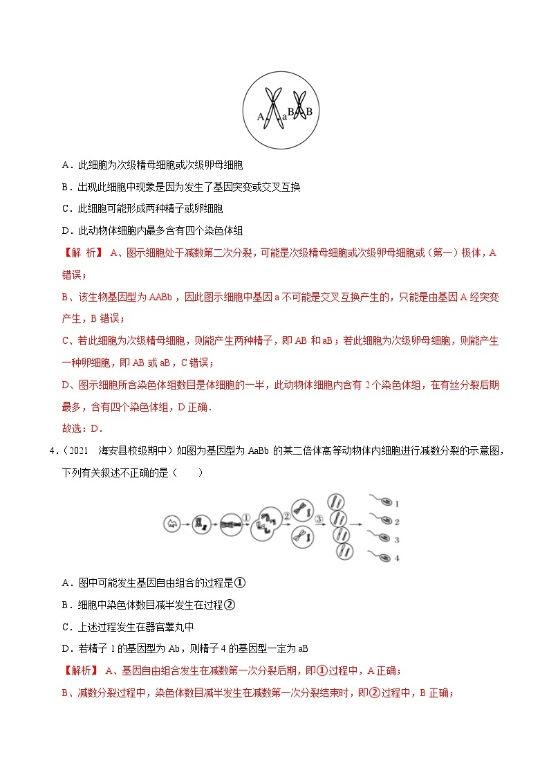 专题11  遗传的细胞基础——高一生物下学期期末考试专项训练学案+ 期末模拟卷（2019浙科版）02