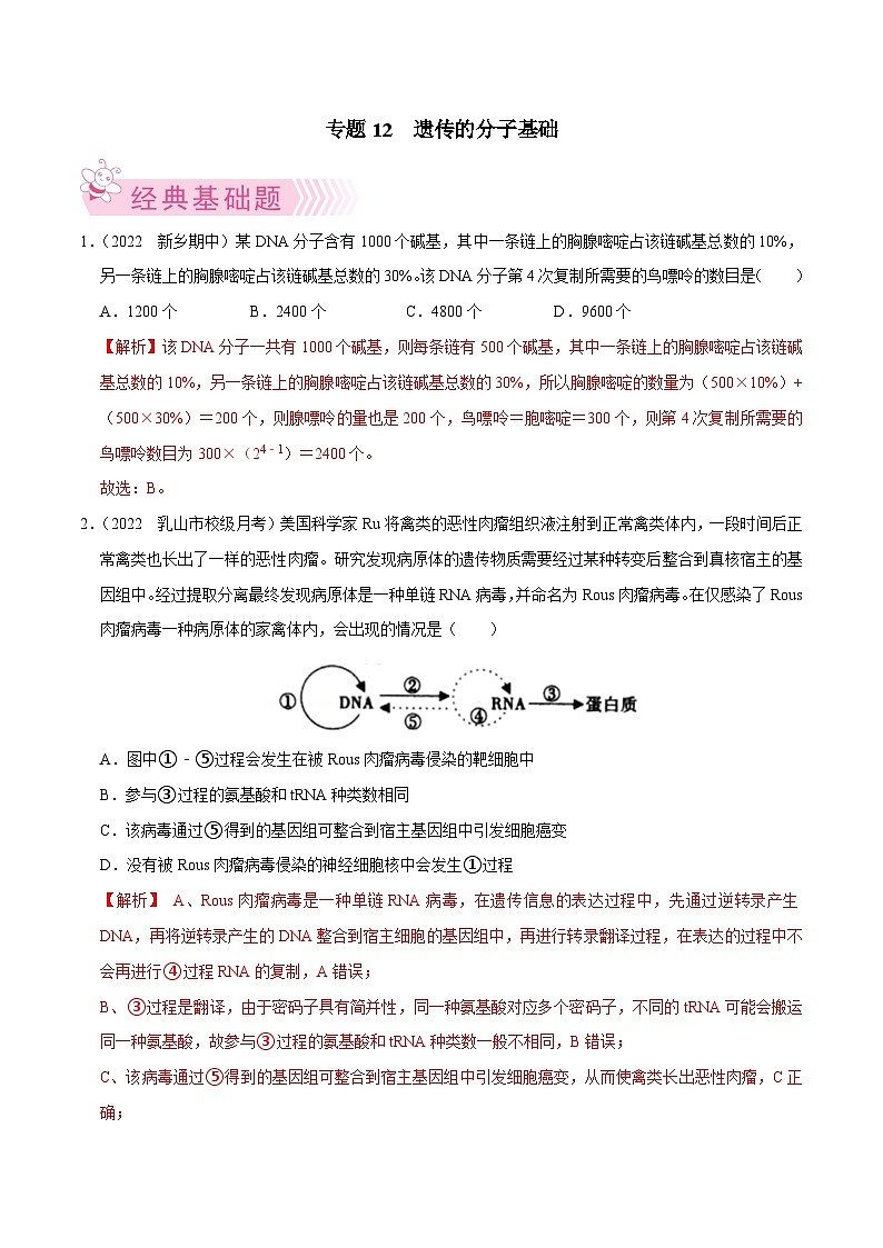 专题12  遗传的分子基础——高一生物下学期期末考试专项训练学案+ 期末模拟卷（2019浙科版）01