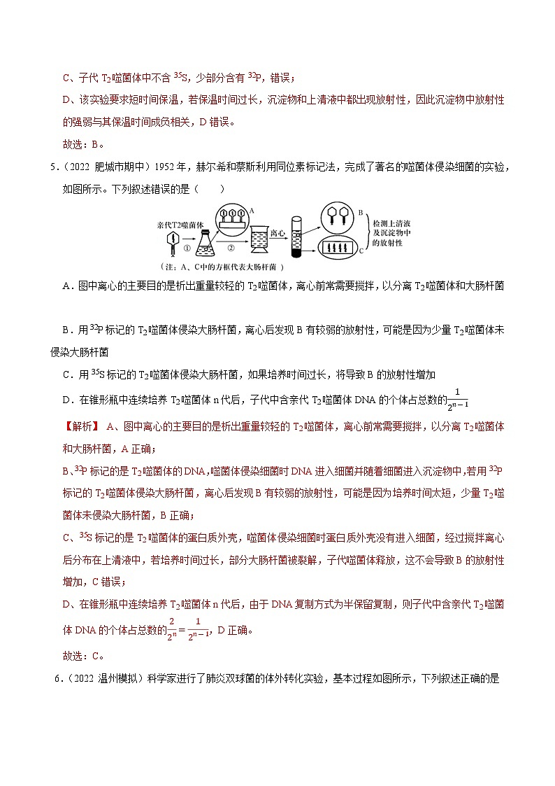 专题12  遗传的分子基础——高一生物下学期期末考试专项训练学案+ 期末模拟卷（2019浙科版）03