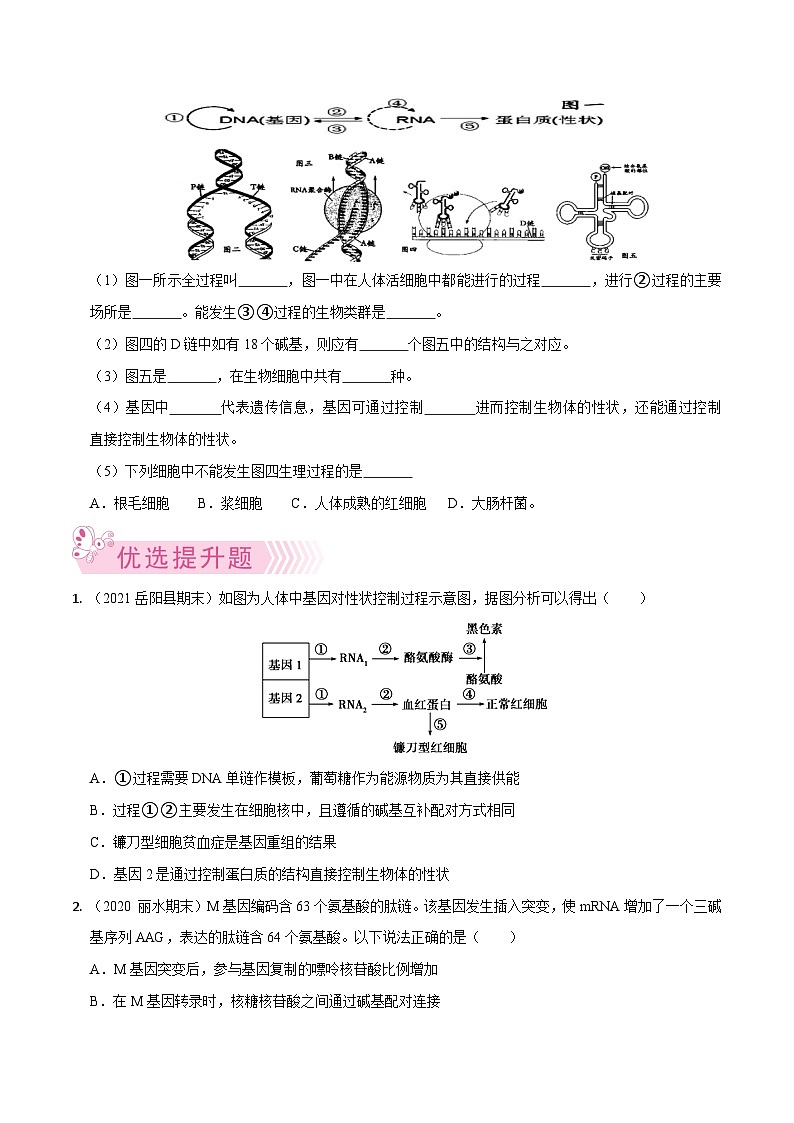 专题12  遗传的分子基础——高一生物下学期期末考试专项训练学案+ 期末模拟卷（2019浙科版）03