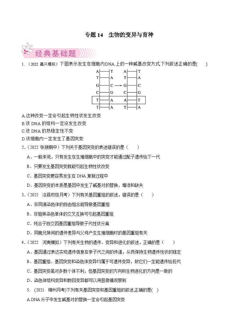 专题14  生物的变异与育种——高一生物下学期期末考试专项训练学案+ 期末模拟卷（2019浙科版）01