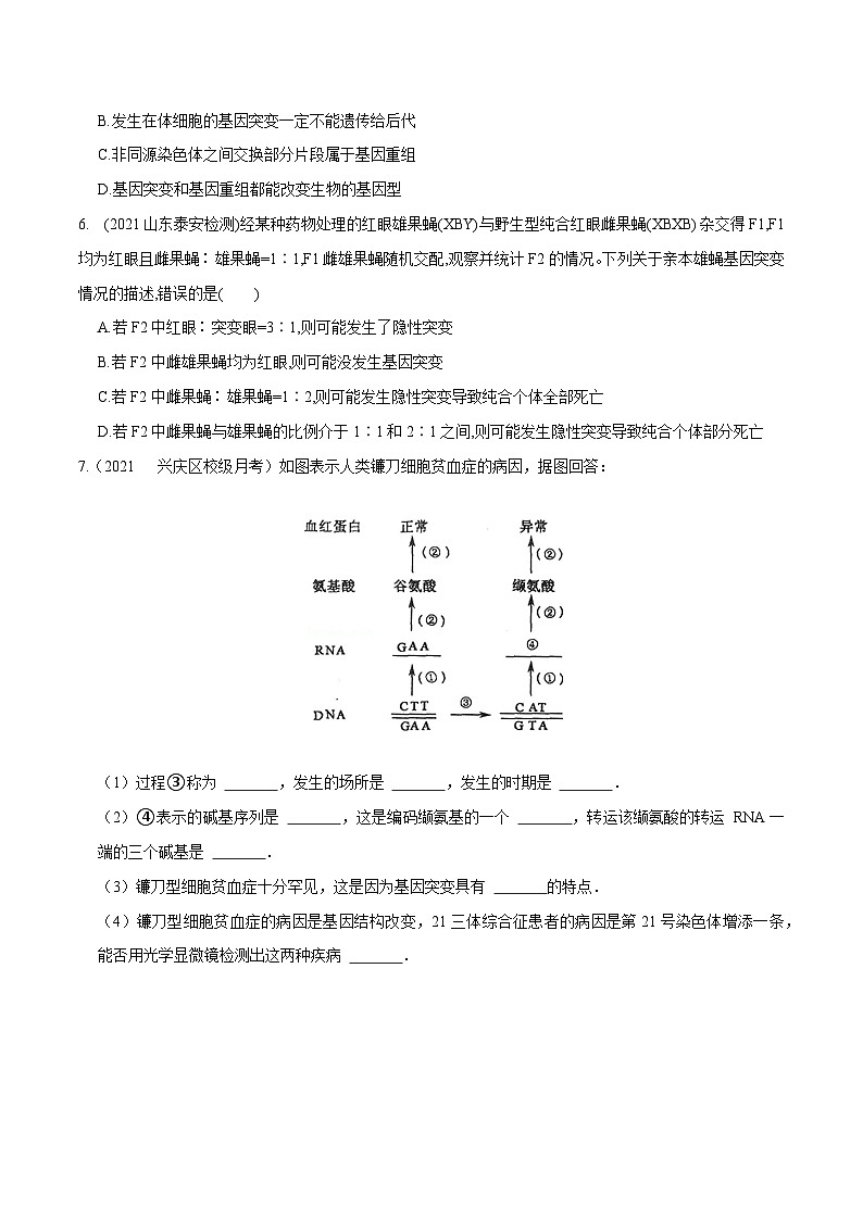 专题14  生物的变异与育种——高一生物下学期期末考试专项训练学案+ 期末模拟卷（2019浙科版）02
