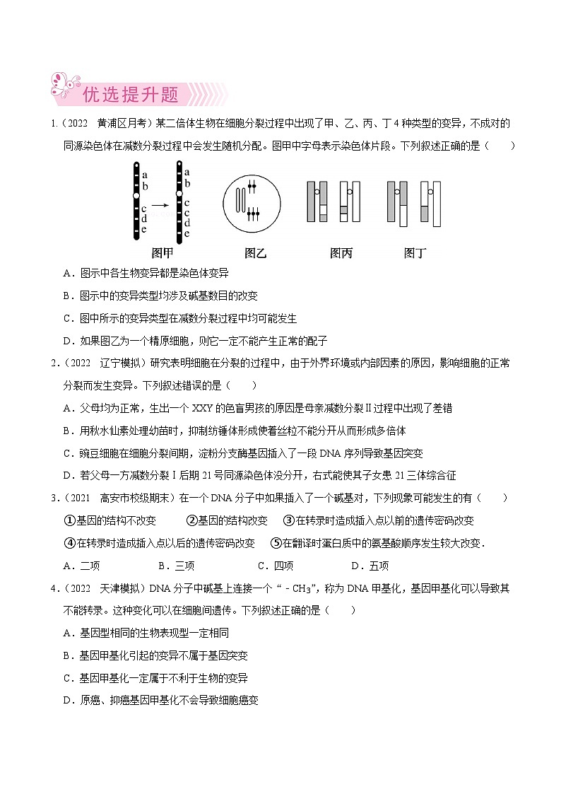 专题14  生物的变异与育种——高一生物下学期期末考试专项训练学案+ 期末模拟卷（2019浙科版）03