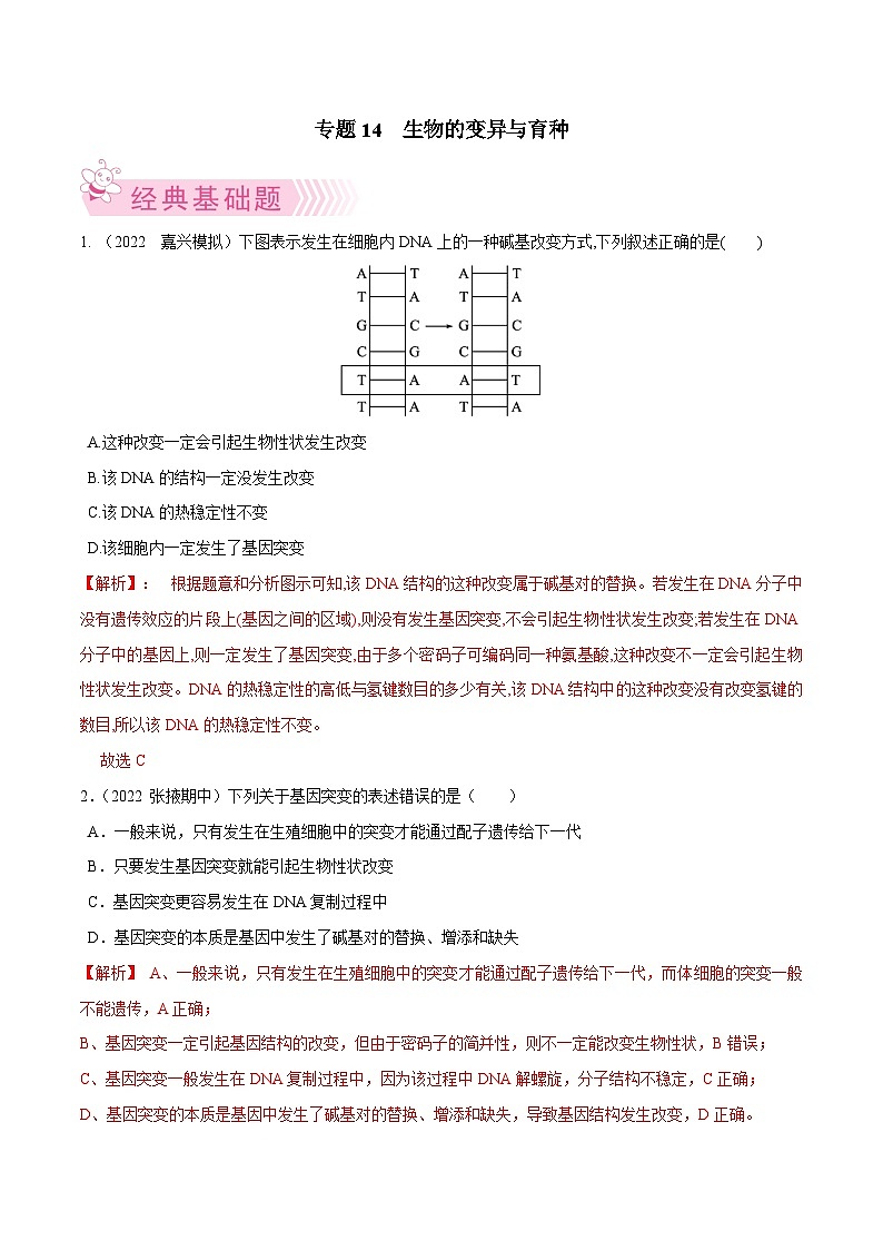专题14  生物的变异与育种——高一生物下学期期末考试专项训练学案+ 期末模拟卷（2019浙科版）01