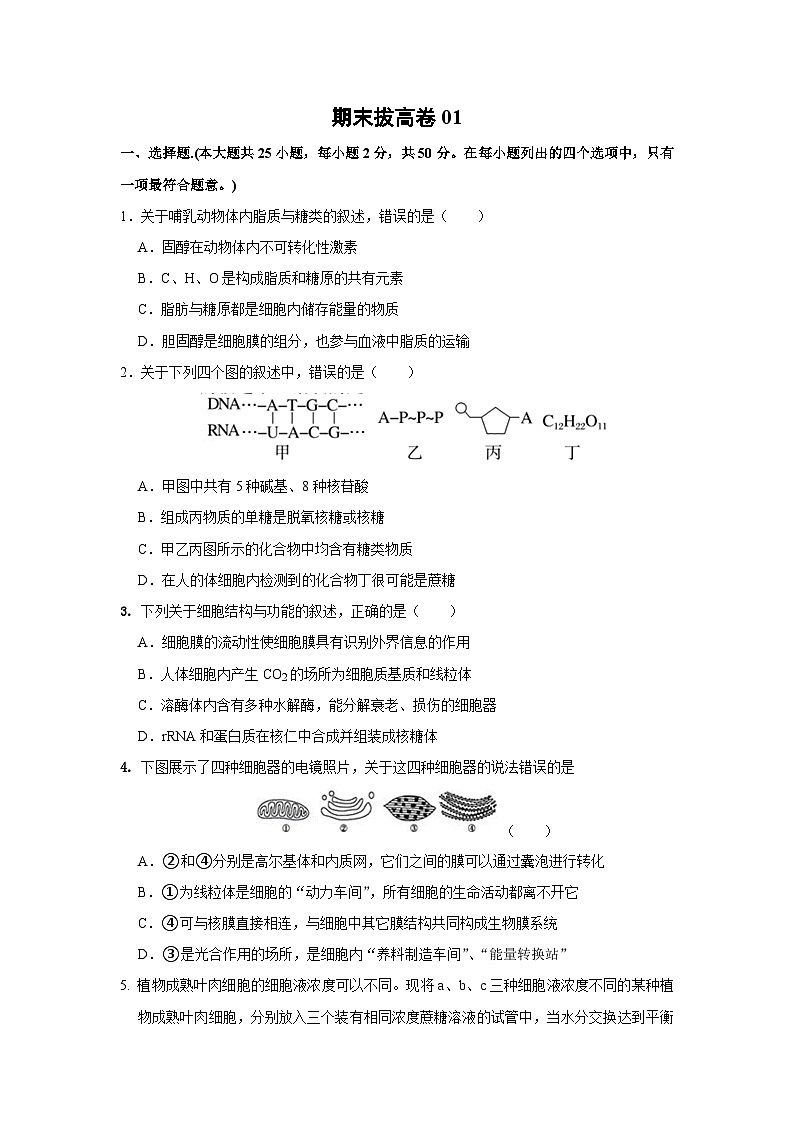 期末模拟卷01（拔高卷）——高一生物下学期期末考试好题汇编+期末模拟卷（2019浙科版）（原卷版）第1页