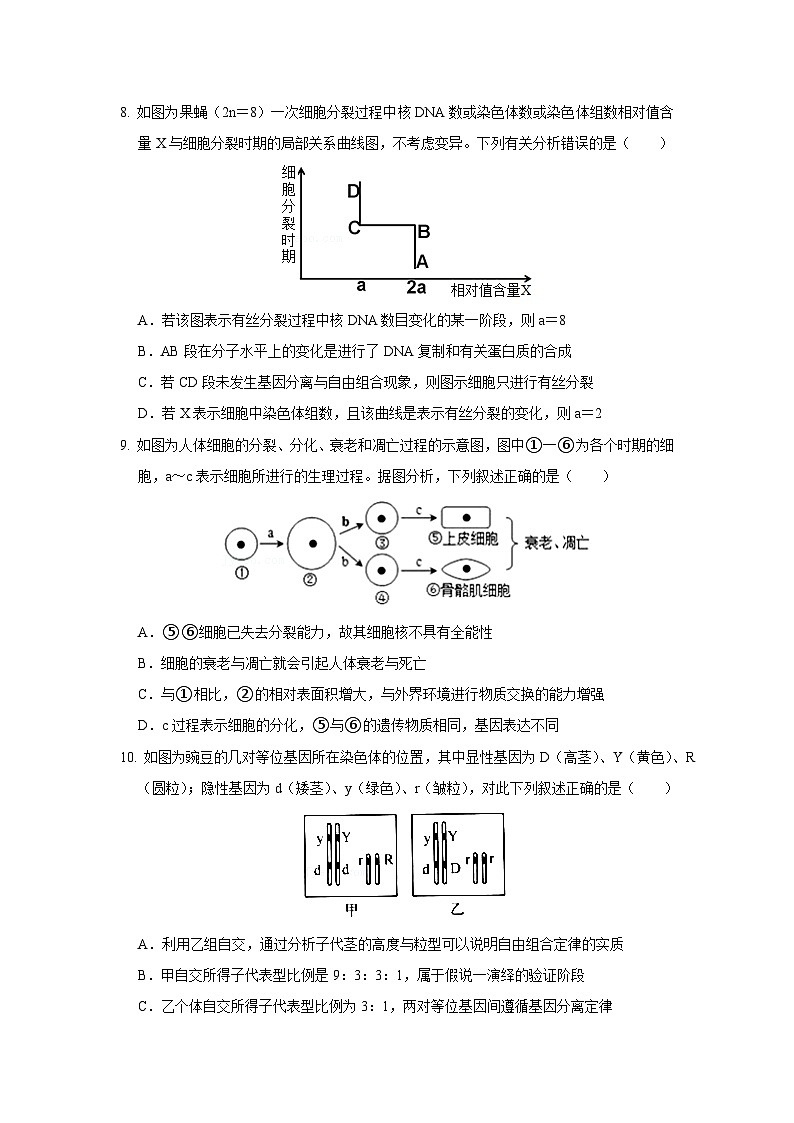 期末模拟卷01（拔高卷）——高一生物下学期期末考试好题汇编+期末模拟卷（2019浙科版）（原卷版）第3页