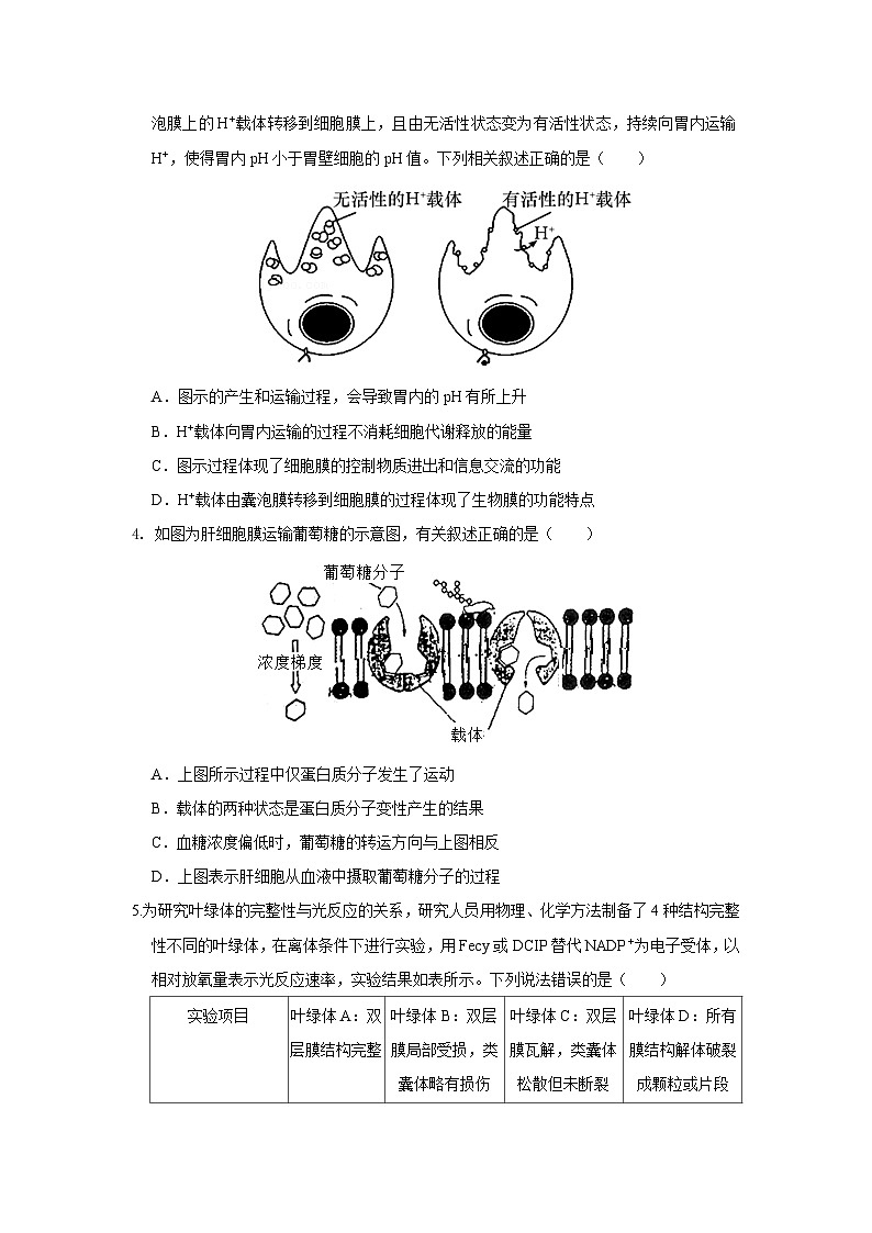 期末模拟卷02（基础卷）——高一生物下学期期末考试专项训练学案+ 期末模拟卷（2019浙科版）02
